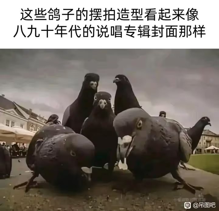 via 6号沙雕网友