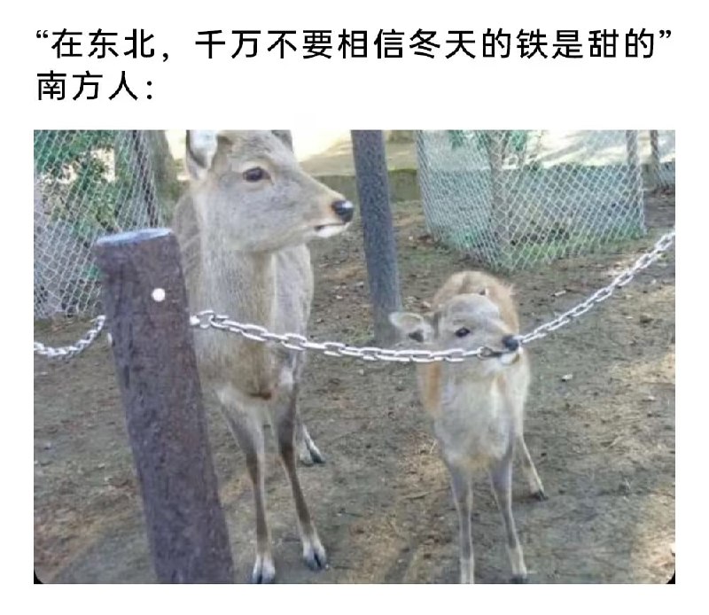 via 7号沙雕网友