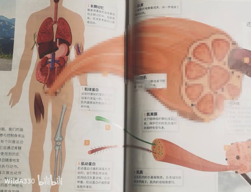 via 犯罪嫌疑人张某