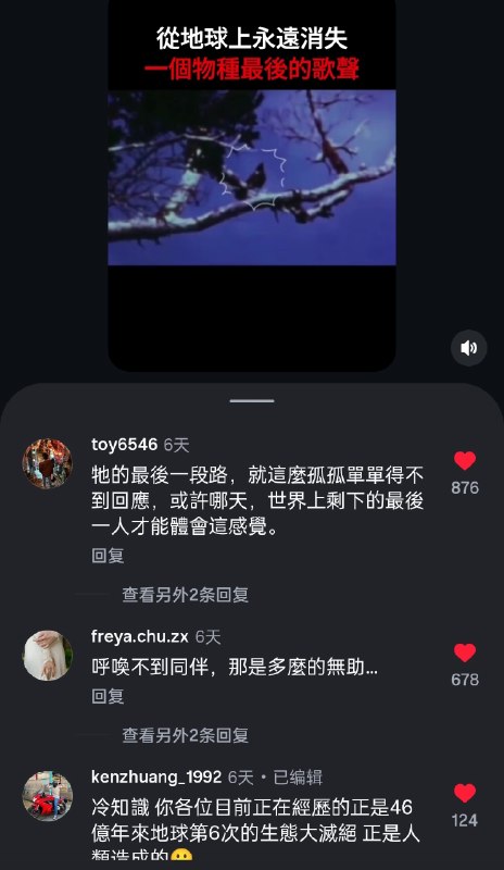 😭😭😭😢😢😢现在听到的漂亮鸟鸣，如今在地球任何地方，都已经无法亲耳听到了