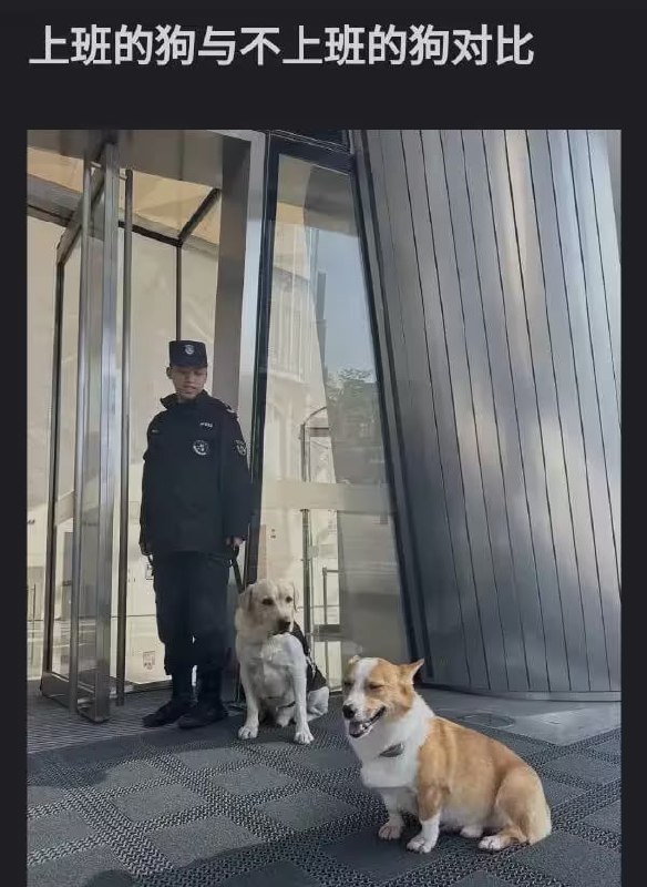 via 油菜花终结者