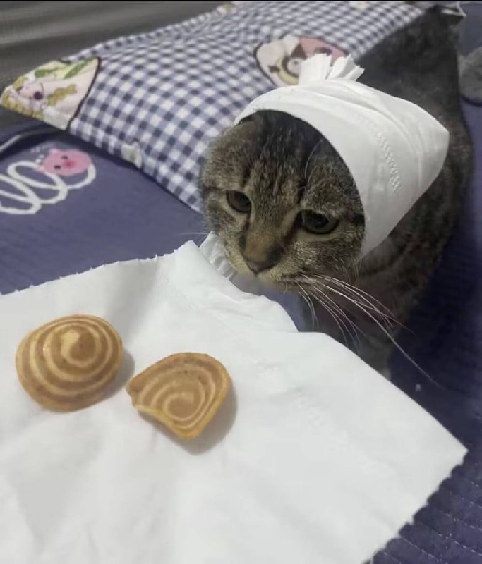 via 犯罪嫌疑人张某