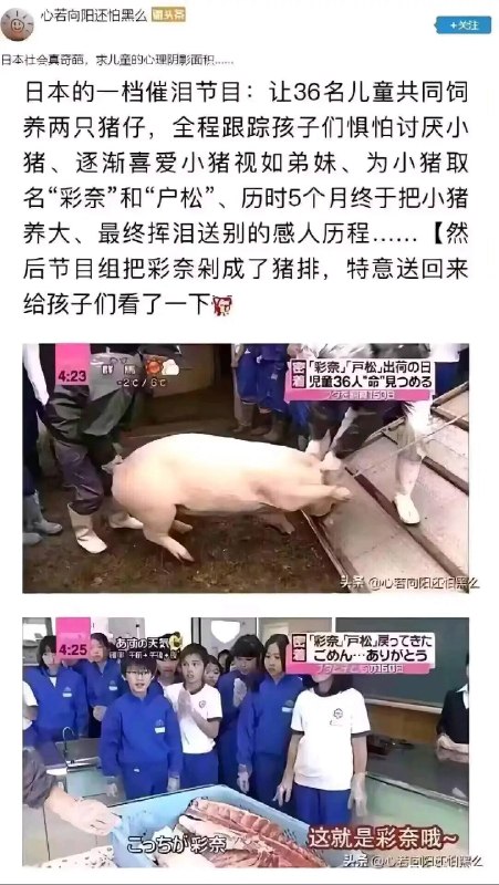 via 犯罪嫌疑人张某