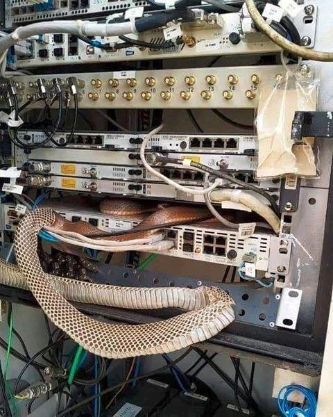 python在线升级