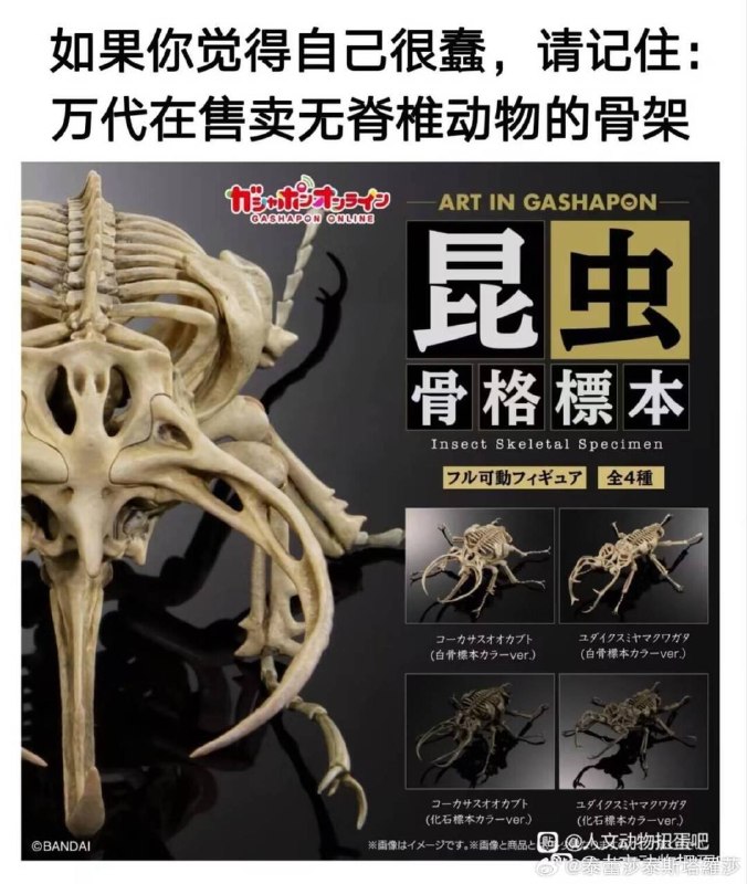via 犯罪嫌疑人张某