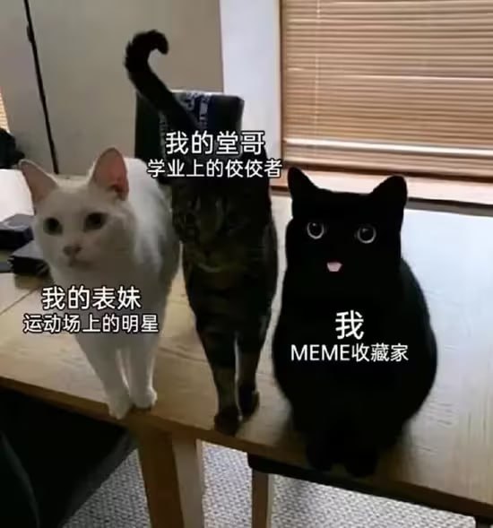 via 6号沙雕网友
