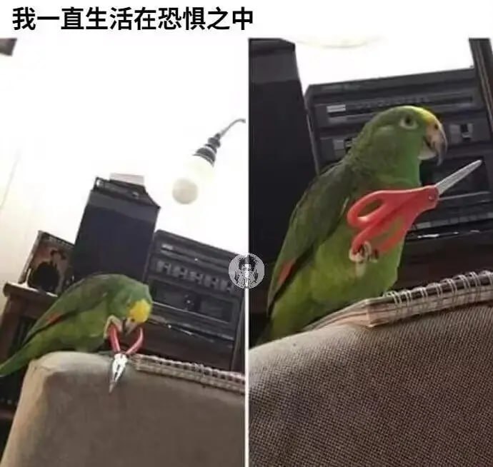via 7号沙雕网友