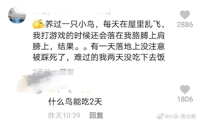消息原地址