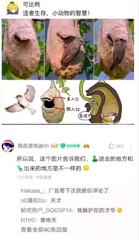 via 赖 渊
