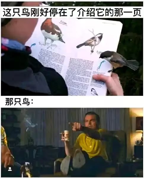 via 6号沙雕网友