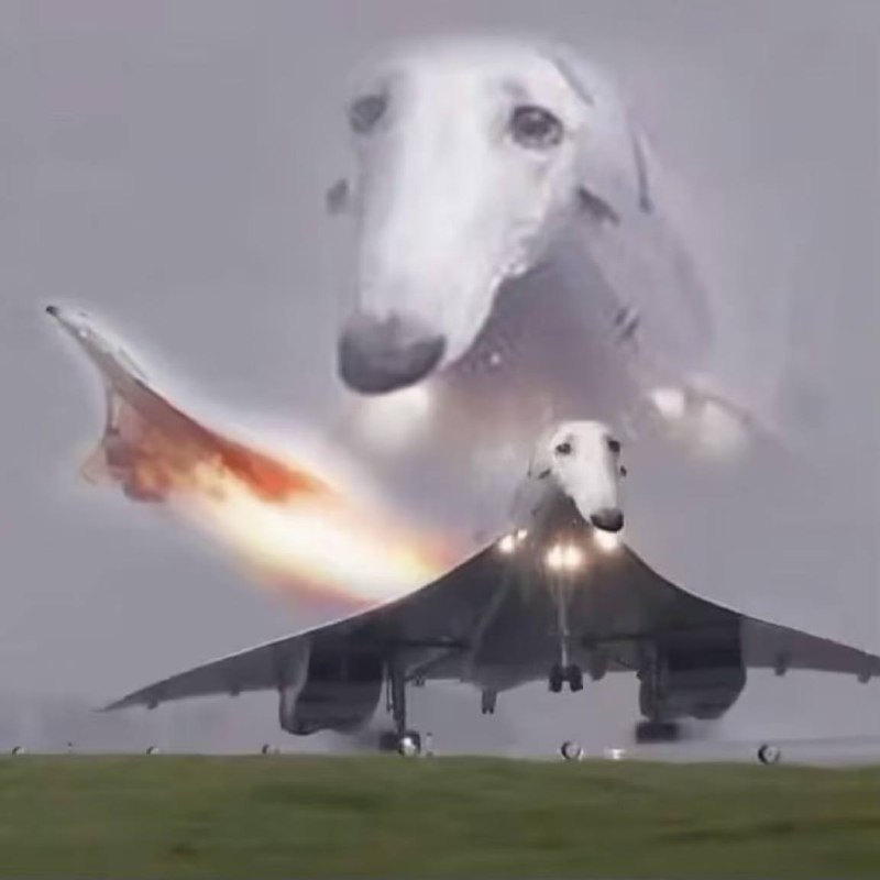 via 犯罪嫌疑人张某