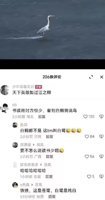 via 7号沙雕网友