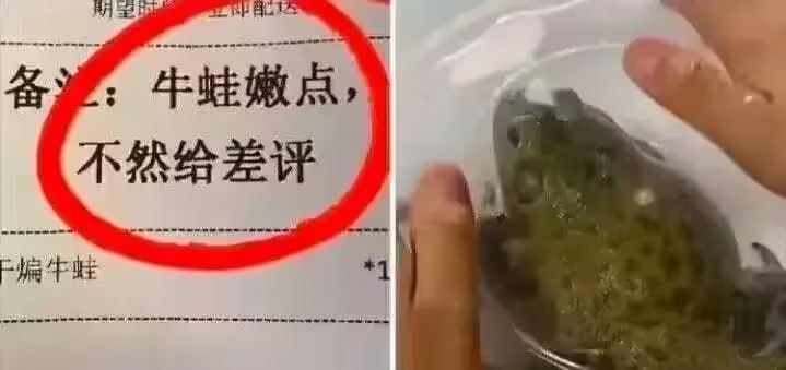 via 6号沙雕网友