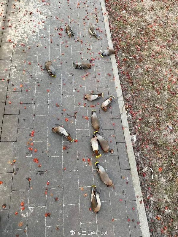 via 君生我未生，我生君已老