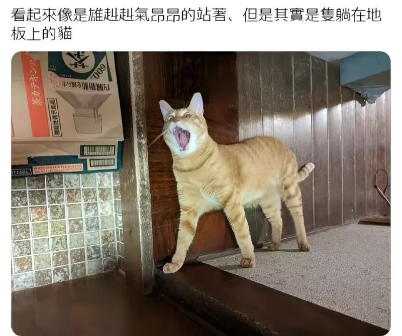 via 7号沙雕网友