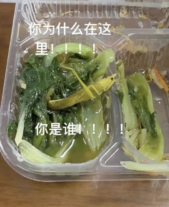 审核注