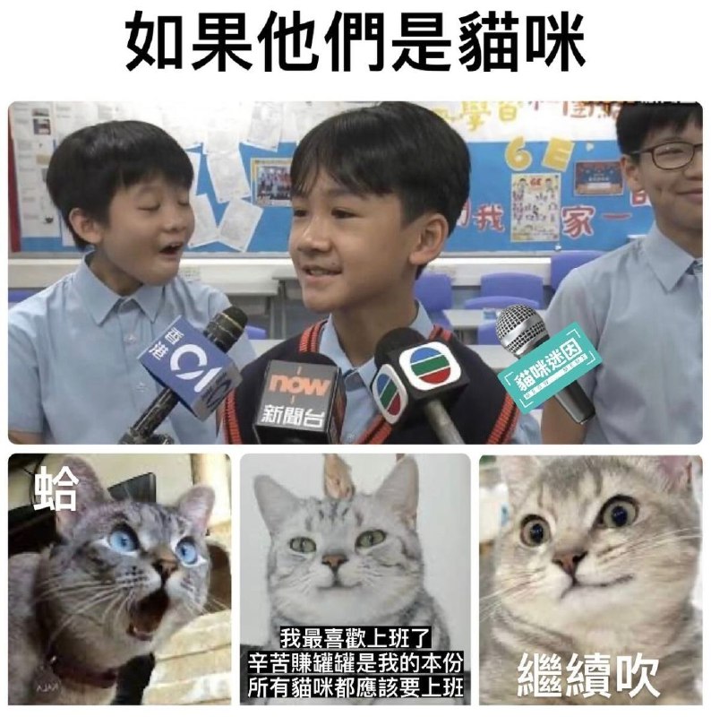 from ，アイルーBOT🐱🐱 高强度网上冲浪版