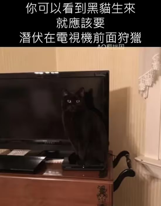 via 6号沙雕网友